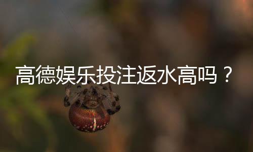 高德娱乐投注返水高吗？揭秘返水比例与实战技巧