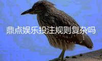鼎点娱乐投注规则复杂吗？新手玩家必看的详细解析