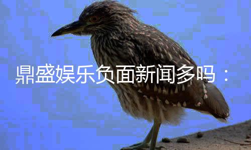 鼎盛娱乐负面新闻多吗：真相揭秘