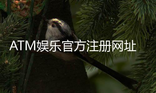 ATM娱乐官方注册网址：轻松获取最新官网入口及注册教程