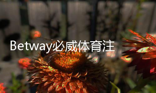 Betway必威体育注册麻烦吗？新手注册流程图文教你快速完成与常见问题解答