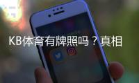 KB体育有牌照吗？真相揭秘与官方牌照查询及风险识别指南