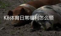 KB体育日常福利怎么领取？领取攻略、注意事项与常见问题详解