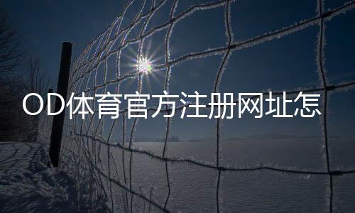 OD体育官方注册网址怎么注册？最新官方注册流程、验证方法与常见问题解答