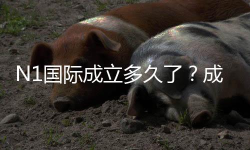 N1国际成立多久了？成立时间、发展历程与信誉全解析