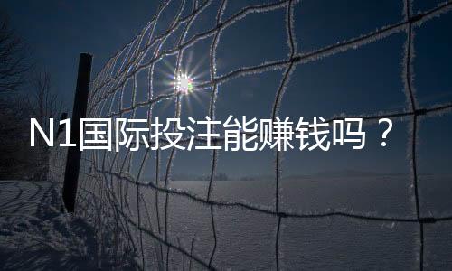 N1国际投注能赚钱吗？真实收益解析与新手赚钱攻略