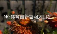 NG体育最新官网入口在哪里？官方地址、快速登录方法与常见问题解答
