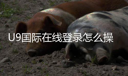 U9国际在线登录怎么操作？新手注册登录详细教程与常见问题解决