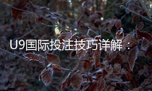 U9国际投注技巧详解：新手入门、实战策略与风险控制