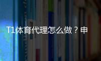 T1体育代理怎么做？申请流程、开户条件与推广运营全攻略