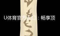U体育官方入口：畅享顶级赛事投注与电子游艺体验