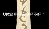 U体育用户评价好不好？真实玩家体验分享与深度解析