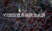 Y3国际官方网站怎么进？官网入口、登录注册与安全验证全攻略