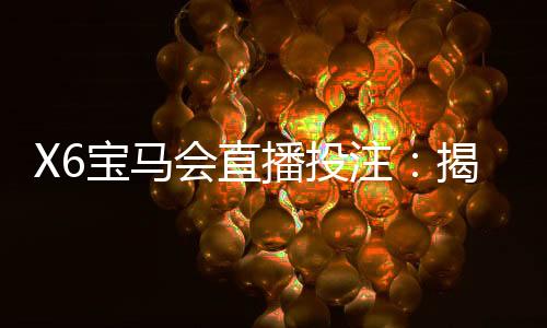 X6宝马会直播投注：揭秘高胜率玩家的实战技巧与策略