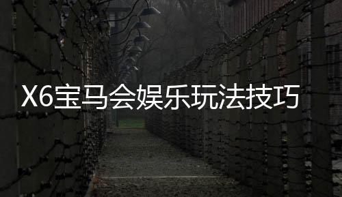X6宝马会娱乐玩法技巧：高手必备的实战秘籍与策略解析