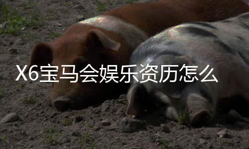 X6宝马会娱乐资历怎么样？资深玩家带你揭秘平台真实体验