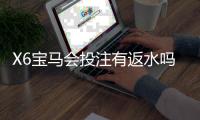 X6宝马会投注有返水吗？揭秘高返水福利与实战技巧