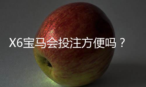 X6宝马会投注方便吗？资深玩家亲测存取款与游戏体验