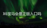 X6宝马会是正版入口吗？资深玩家揭秘平台安全性与游戏体验