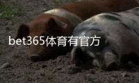 bet365体育有官方APP吗？官方客户端iOSAndroid下载、安装与安全性全解析