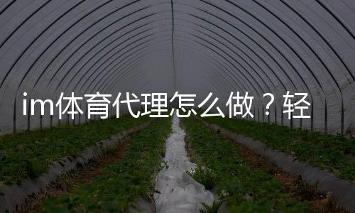 im体育代理怎么做?轻松入门与高效盈利指南