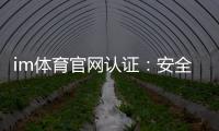 im体育官网认证：安全可靠的平台选择与玩法指南