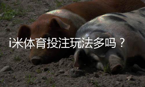 i米体育投注玩法多吗？平台玩法种类全解析与新手投注攻略